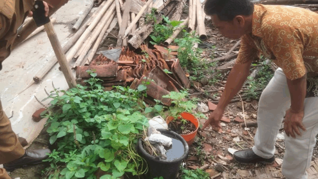 Misteri Penyakit